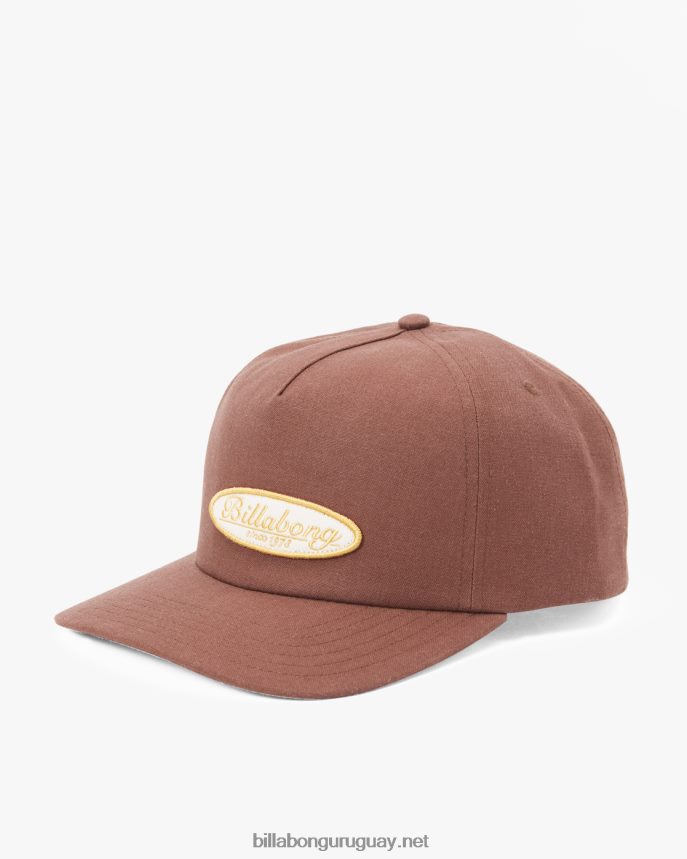 gorra diaria sin estructura de perfil bajo hombres chocolate DR6844693 Billabong