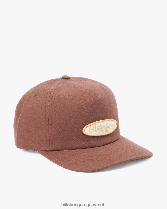 gorra diaria sin estructura de perfil bajo hombres chocolate DR6844693 Billabong