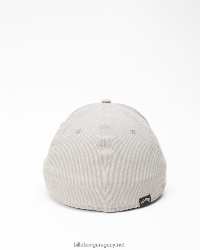 gorro elástico todo el día hombres gris DR6844708 Billabong