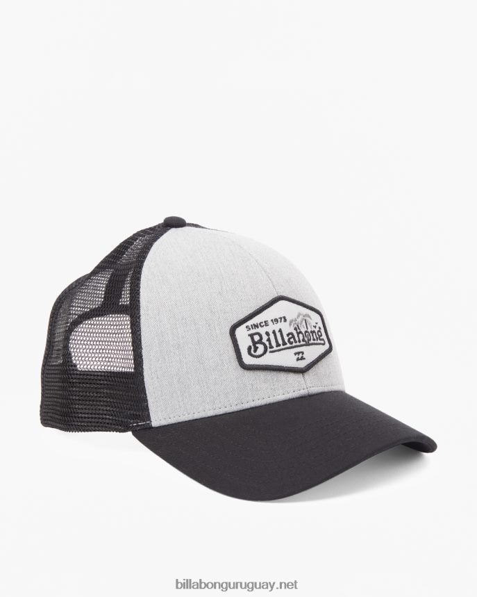 sombrero de camionero con paredes hombres Gris oscuro DR6844791 Billabong
