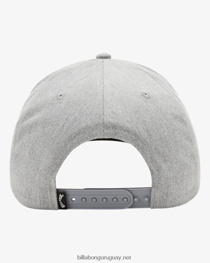 sombrero snapback todo el día hombres brezo gris DR6844744 Billabong