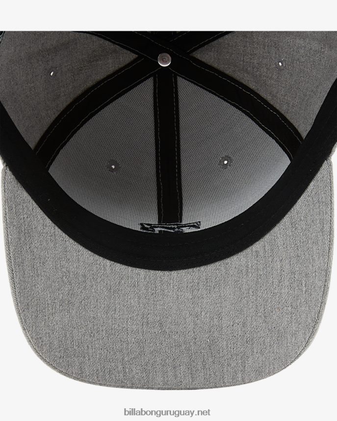 sombrero snapback todo el día hombres brezo gris DR6844744 Billabong