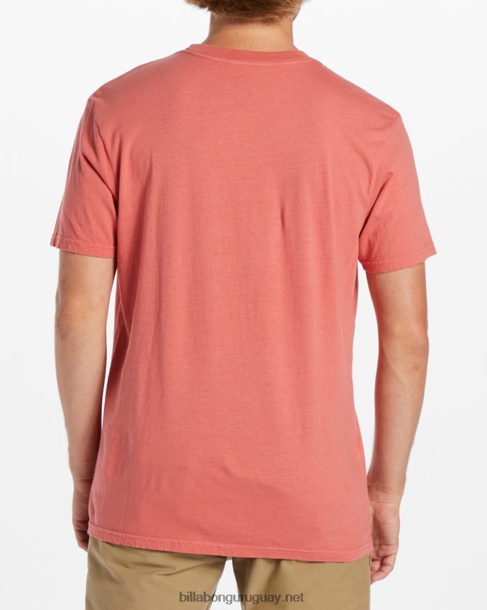 alabanza camiseta de manga corta hombres rosa descolorida DR6844539 Billabong