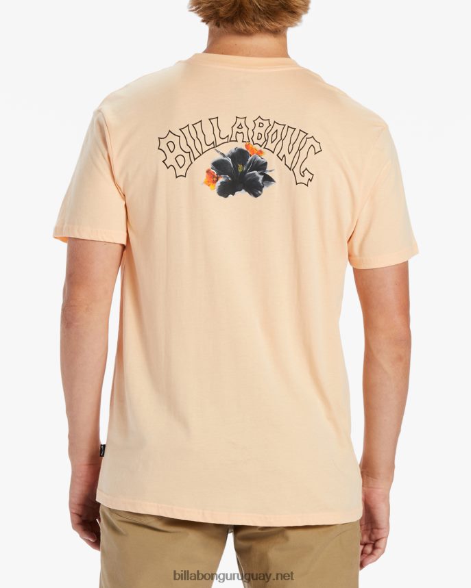 camiseta arco de lava kamea hombres melón polvoriento DR6844499 Billabong