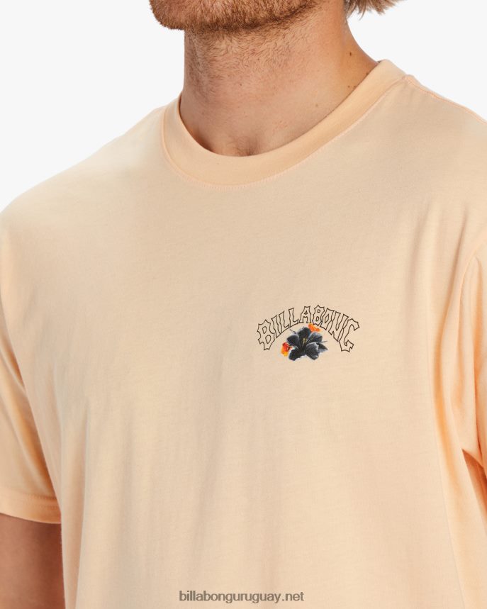 camiseta arco de lava kamea hombres melón polvoriento DR6844499 Billabong