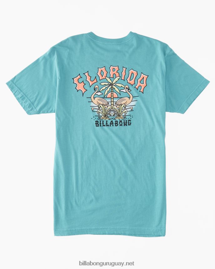 camiseta arco flamenco hombres Mar verde DR6844336 Billabong