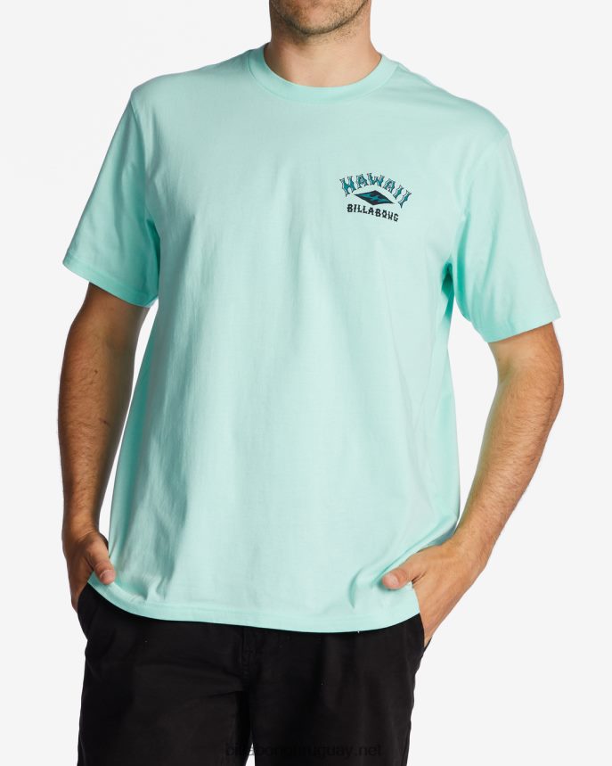 camiseta arco hawaii hombres menta fresca DR6844327 Billabong