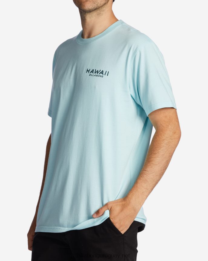 camiseta con el puesto de observación de hawaii hombres costero DR6844312 Billabong