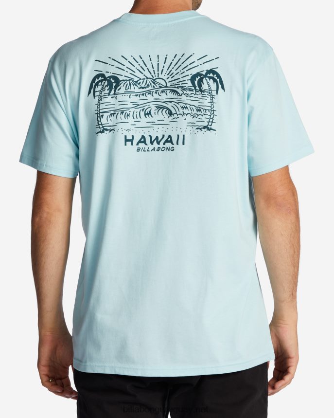 camiseta con el puesto de observación de hawaii hombres costero DR6844312 Billabong