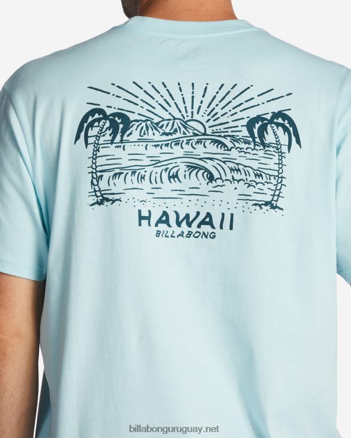 camiseta con el puesto de observación de hawaii hombres costero DR6844312 Billabong