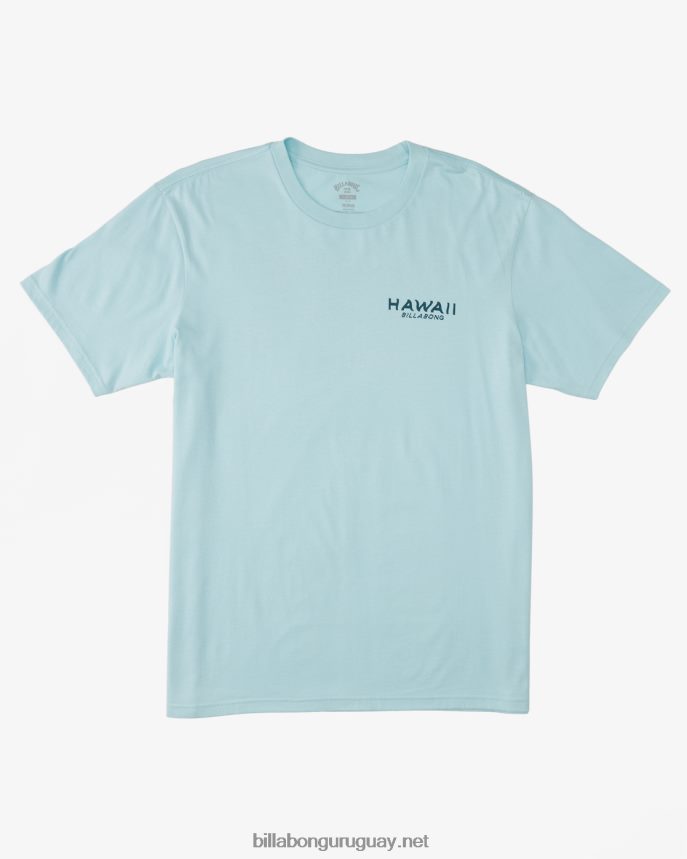 camiseta con el puesto de observación de hawaii hombres costero DR6844312 Billabong