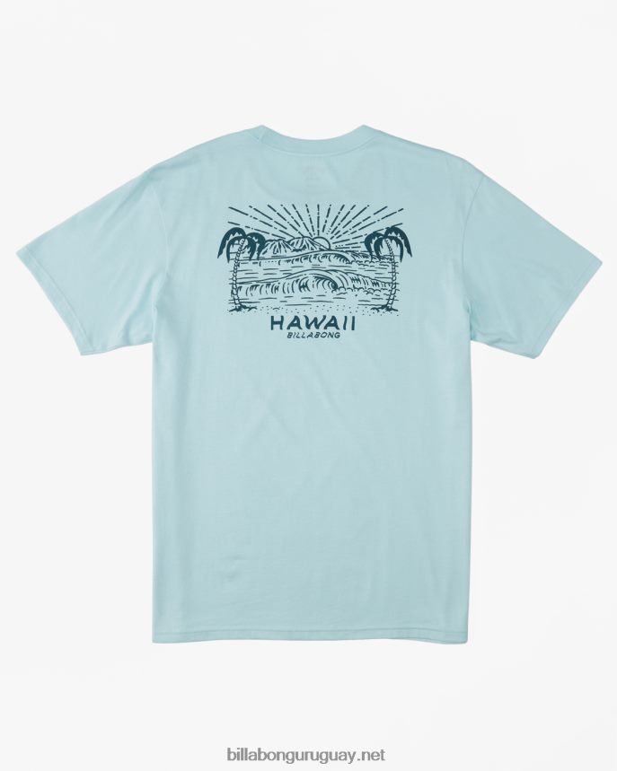 camiseta con el puesto de observación de hawaii hombres costero DR6844312 Billabong