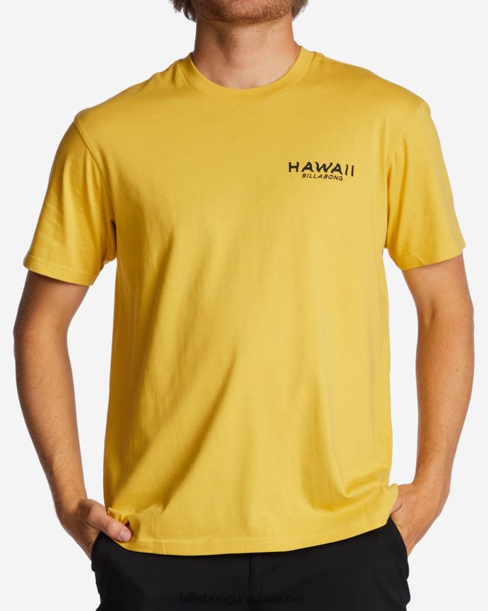 camiseta con el puesto de observación de hawaii hombres soleado DR6844384 Billabong