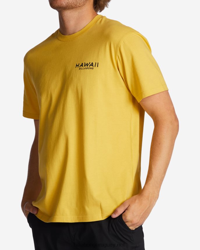 camiseta con el puesto de observación de hawaii hombres soleado DR6844384 Billabong