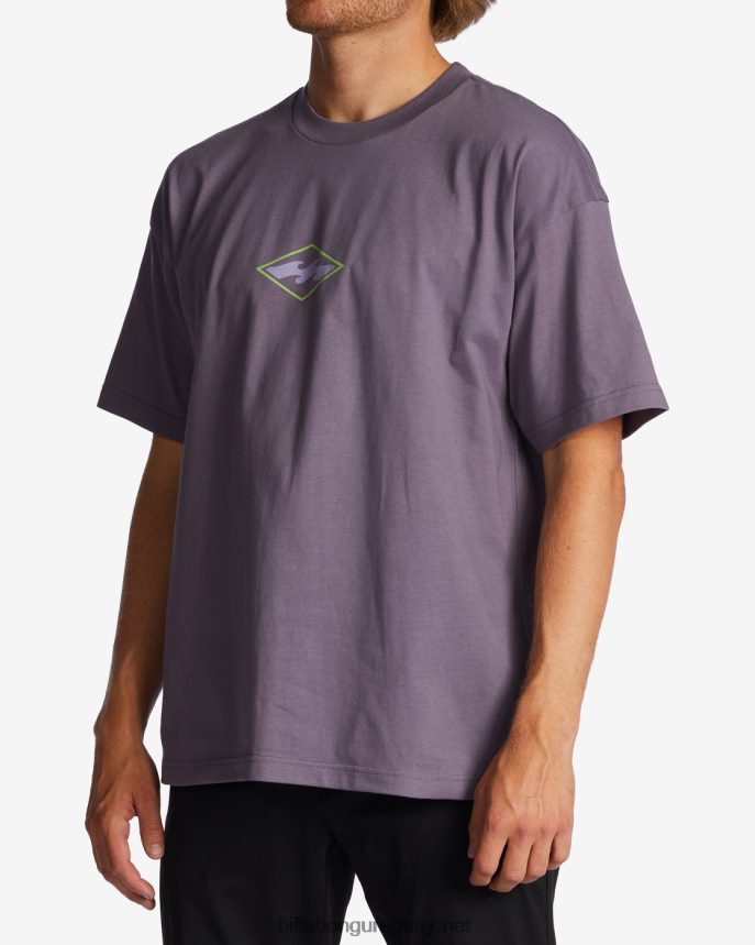 camiseta de crecimiento og hombres neblina púrpura DR6844326 Billabong