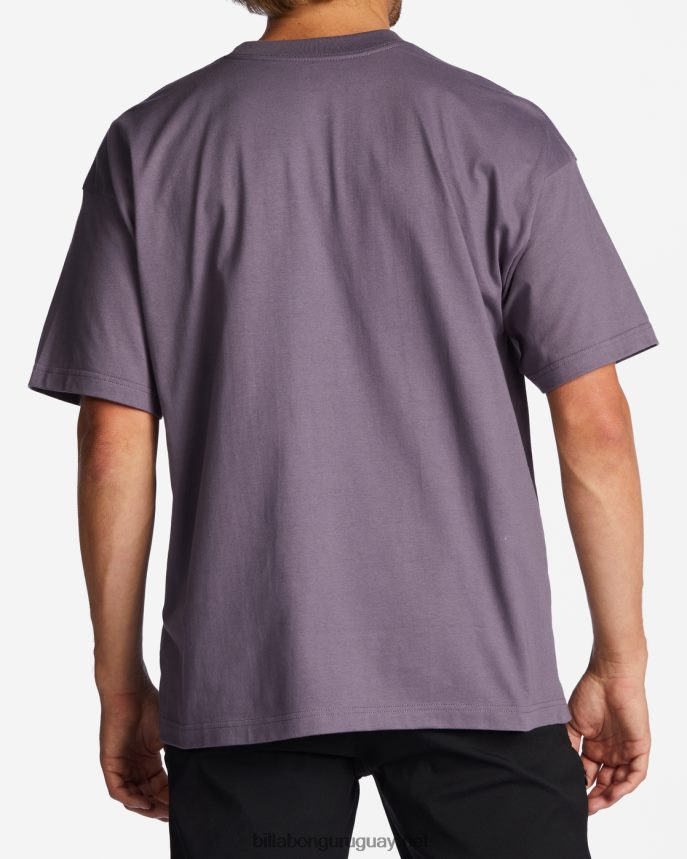camiseta de crecimiento og hombres neblina púrpura DR6844326 Billabong