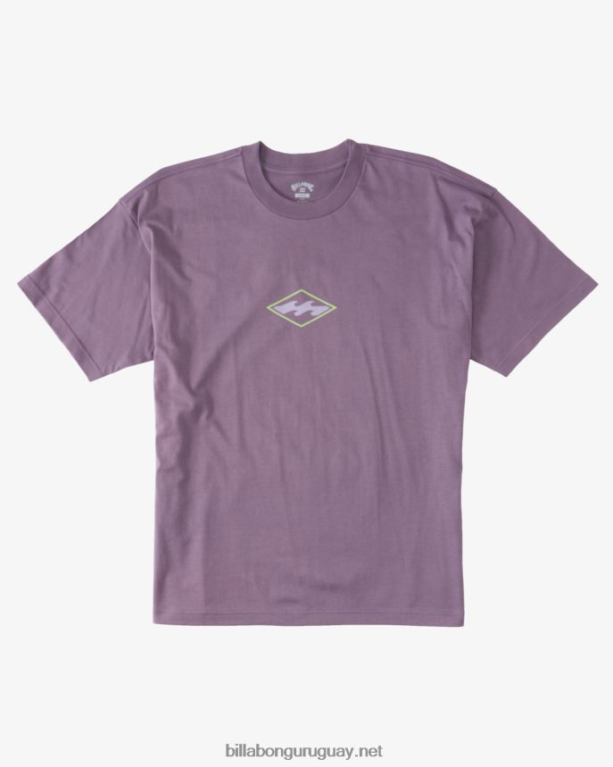 camiseta de crecimiento og hombres neblina púrpura DR6844326 Billabong