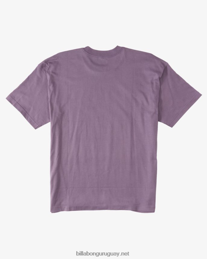 camiseta de crecimiento og hombres neblina púrpura DR6844326 Billabong