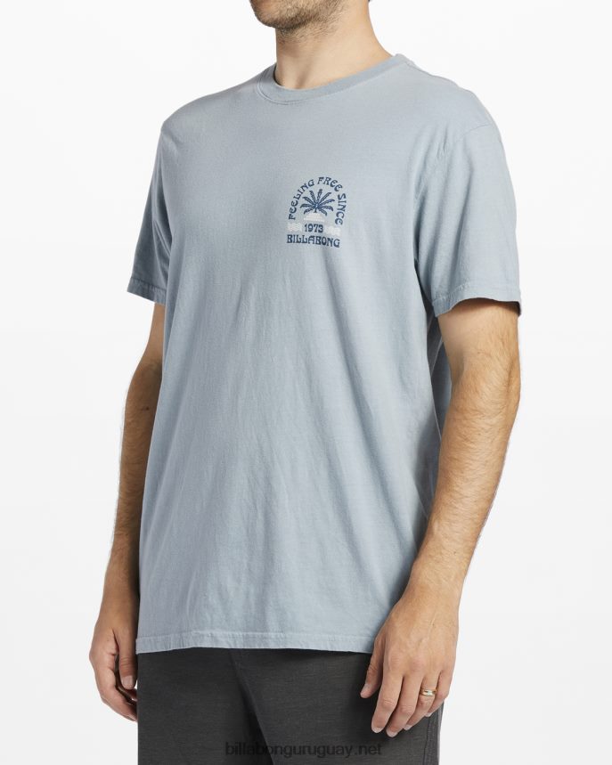 camiseta de manga corta constante hombres azul lavado DR6844537 Billabong