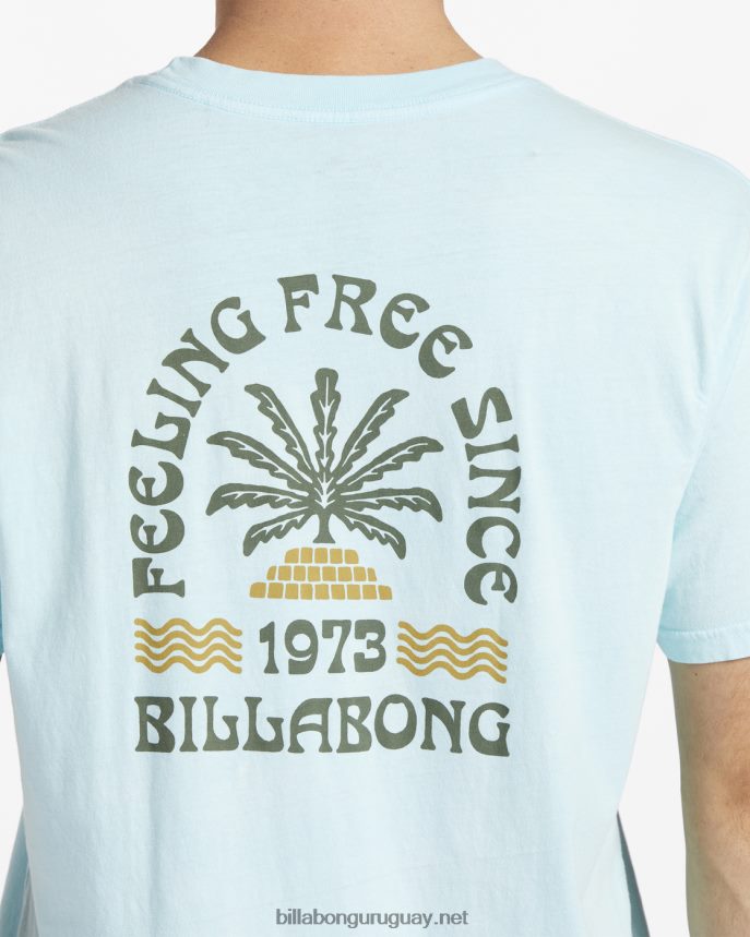 camiseta de manga corta constante hombres menta fresca DR6844600 Billabong