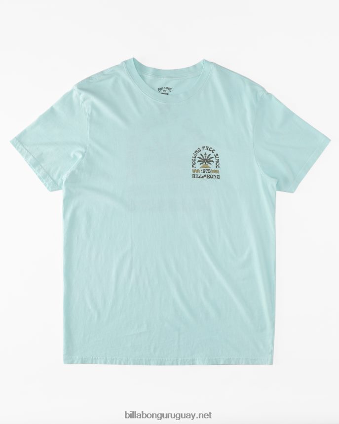 camiseta de manga corta constante hombres menta fresca DR6844600 Billabong