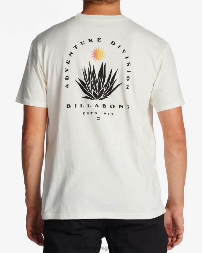 camiseta de manga corta orgánica de agave a/div hombres blanquecino DR6844257 Billabong