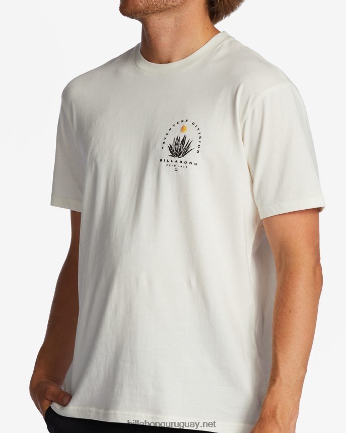 camiseta de manga corta orgánica de agave a/div hombres blanquecino DR6844257 Billabong