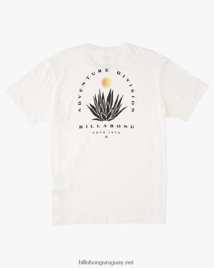 camiseta de manga corta orgánica de agave a/div hombres blanquecino DR6844257 Billabong