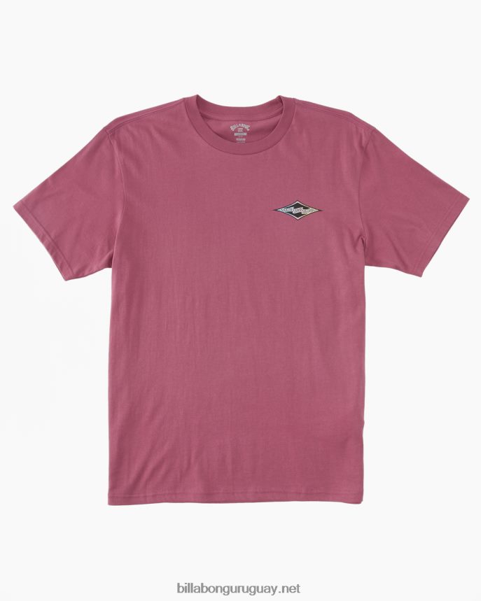 camiseta de onda de crayón hombres baya silvestre DR6844334 Billabong