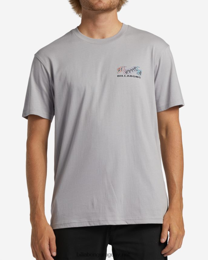 camiseta de segmento hombres gris violeta DR6844353 Billabong