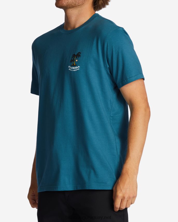 camiseta florida dos palmeras hombres Laguna Azul DR6844321 Billabong