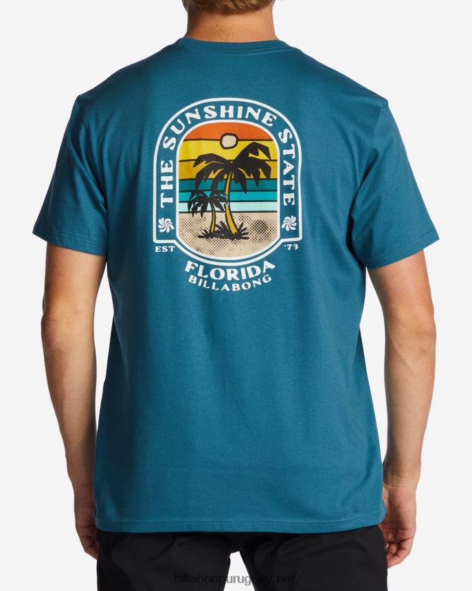 camiseta florida dos palmeras hombres Laguna Azul DR6844321 Billabong