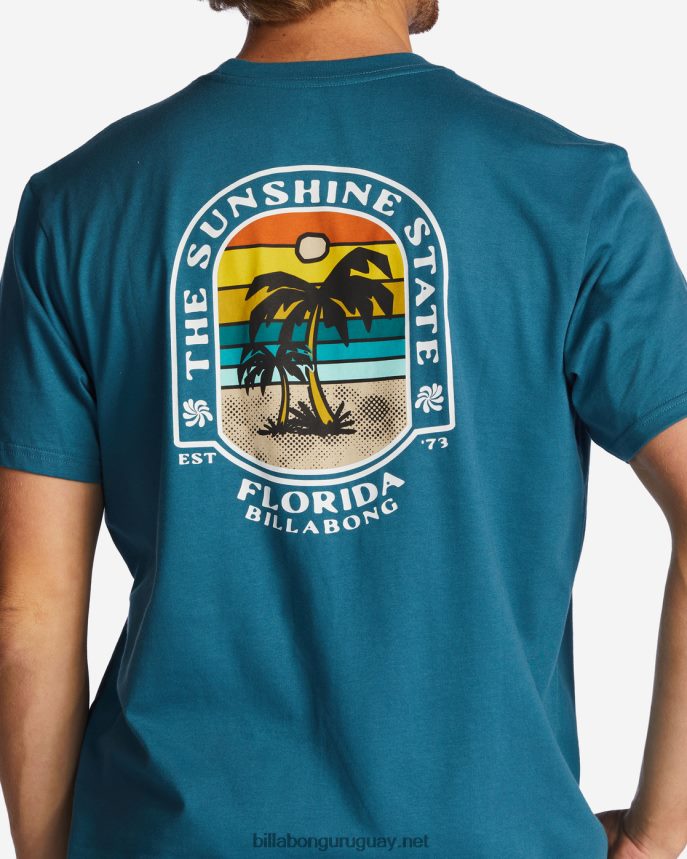 camiseta florida dos palmeras hombres Laguna Azul DR6844321 Billabong