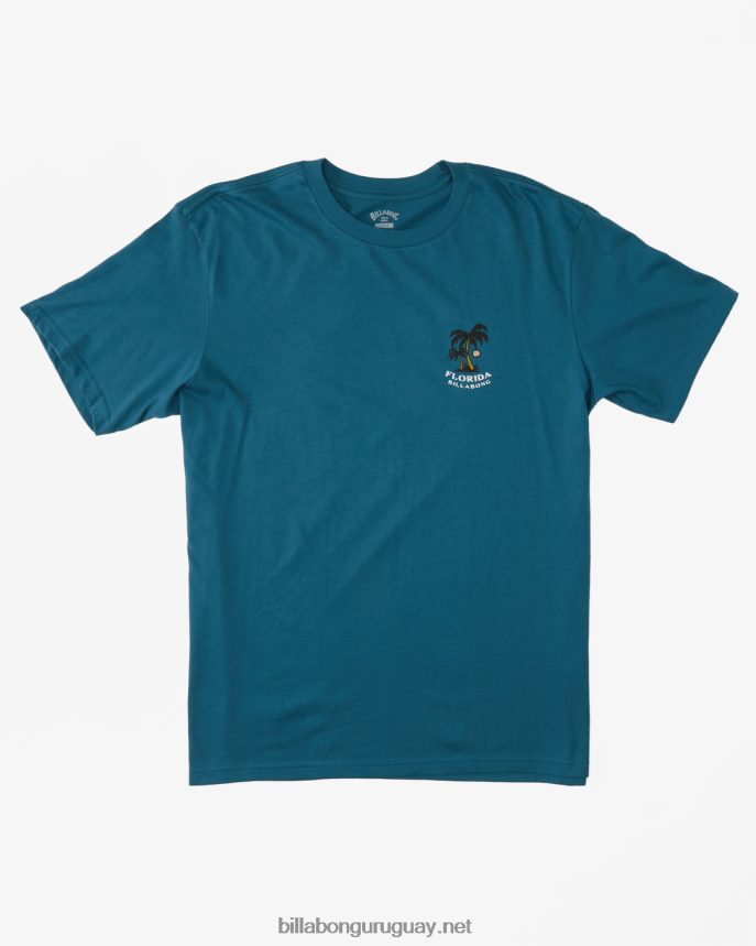 camiseta florida dos palmeras hombres Laguna Azul DR6844321 Billabong