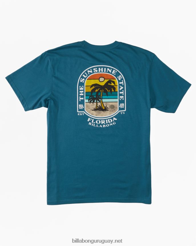 camiseta florida dos palmeras hombres Laguna Azul DR6844321 Billabong