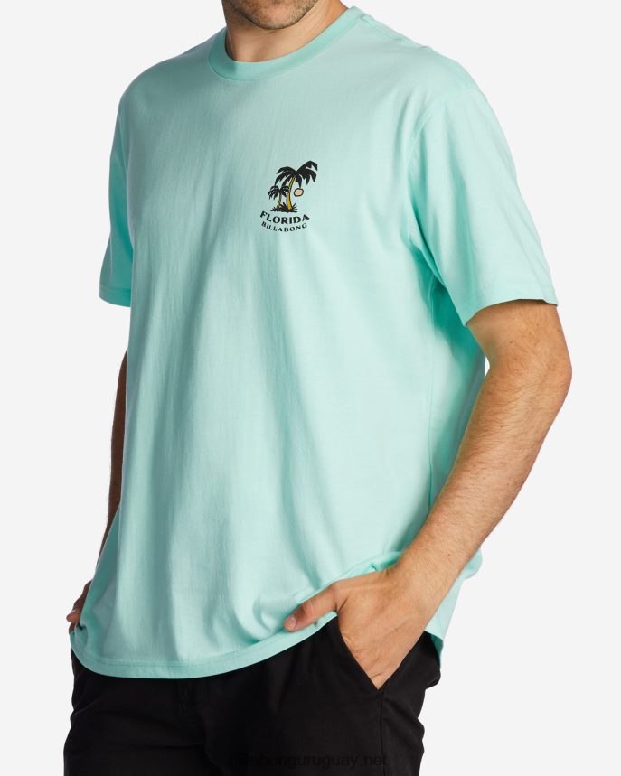 camiseta florida dos palmeras hombres menta fresca DR6844426 Billabong
