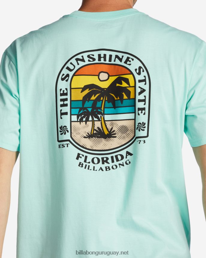 camiseta florida dos palmeras hombres menta fresca DR6844426 Billabong