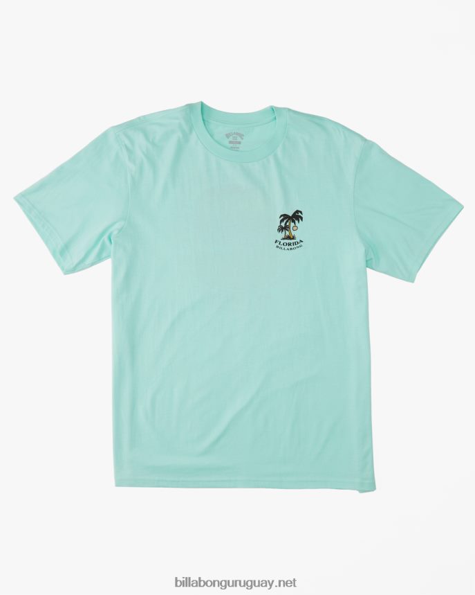 camiseta florida dos palmeras hombres menta fresca DR6844426 Billabong