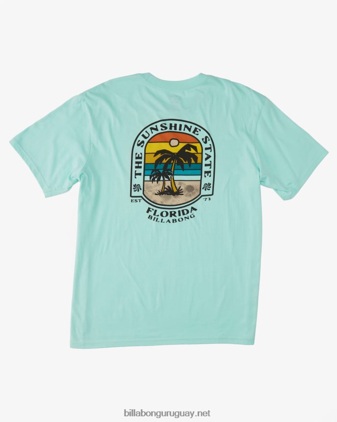 camiseta florida dos palmeras hombres menta fresca DR6844426 Billabong
