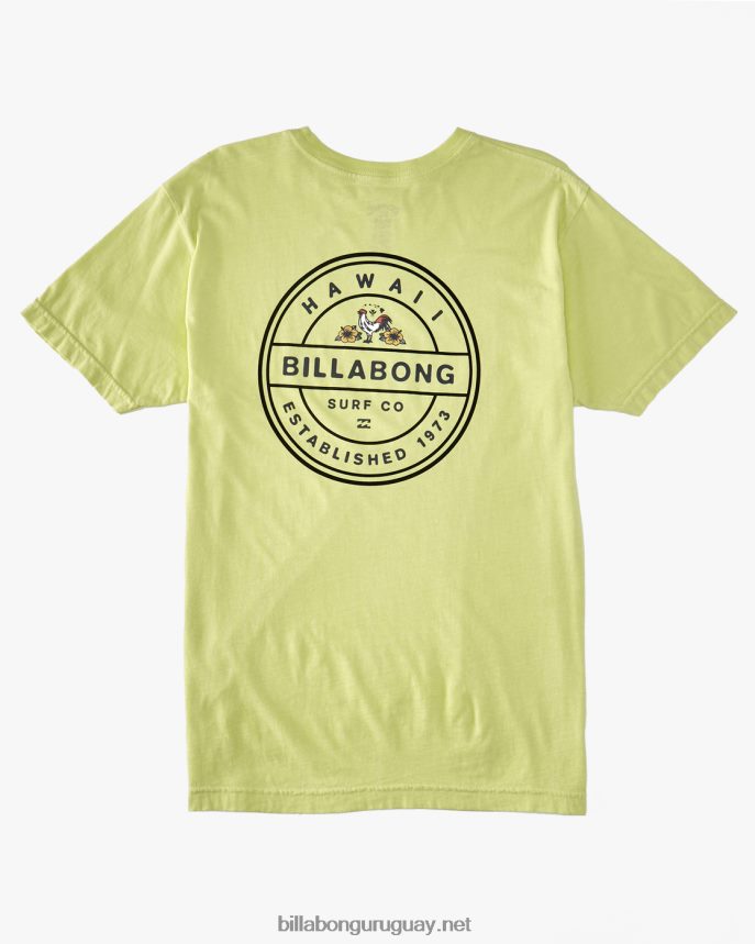 camiseta gallo rotor hombres verde claro DR6844323 Billabong
