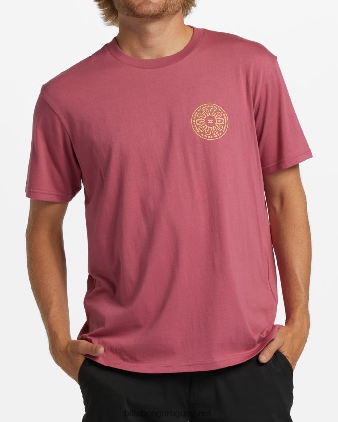 camiseta giratoria hombres baya silvestre DR6844360 Billabong