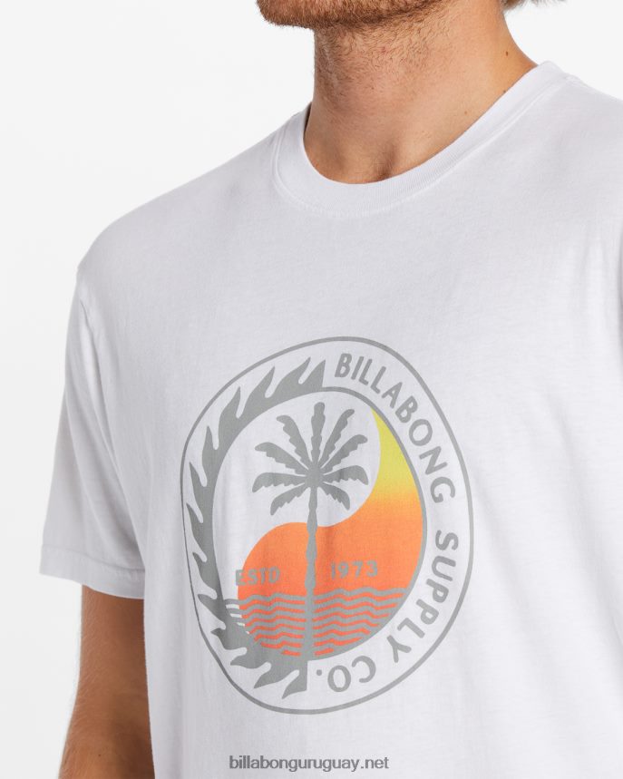 camiseta manga corta transporte hombres blanco DR6844532 Billabong