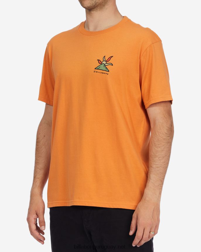 camiseta orgánica de manga corta con brillo a/div hombres albaricoque DR6844519 Billabong