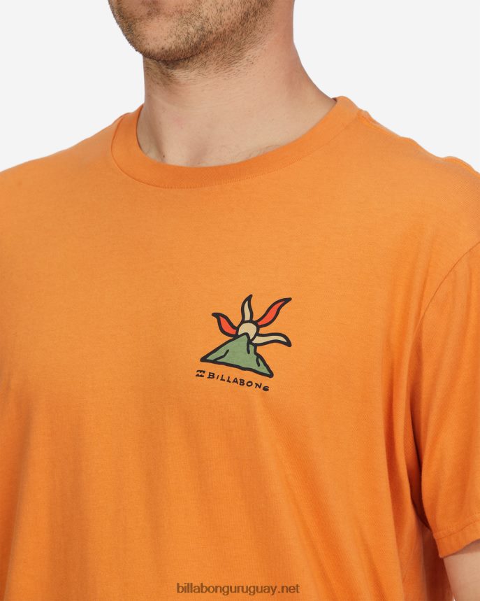 camiseta orgánica de manga corta con brillo a/div hombres albaricoque DR6844519 Billabong