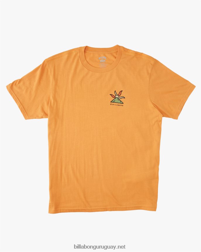 camiseta orgánica de manga corta con brillo a/div hombres albaricoque DR6844519 Billabong