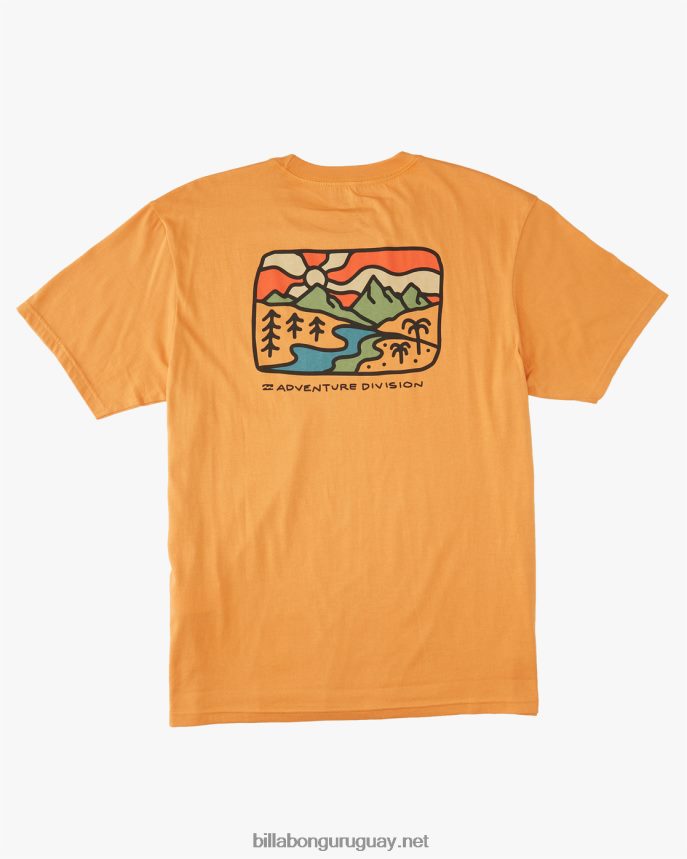 camiseta orgánica de manga corta con brillo a/div hombres albaricoque DR6844519 Billabong