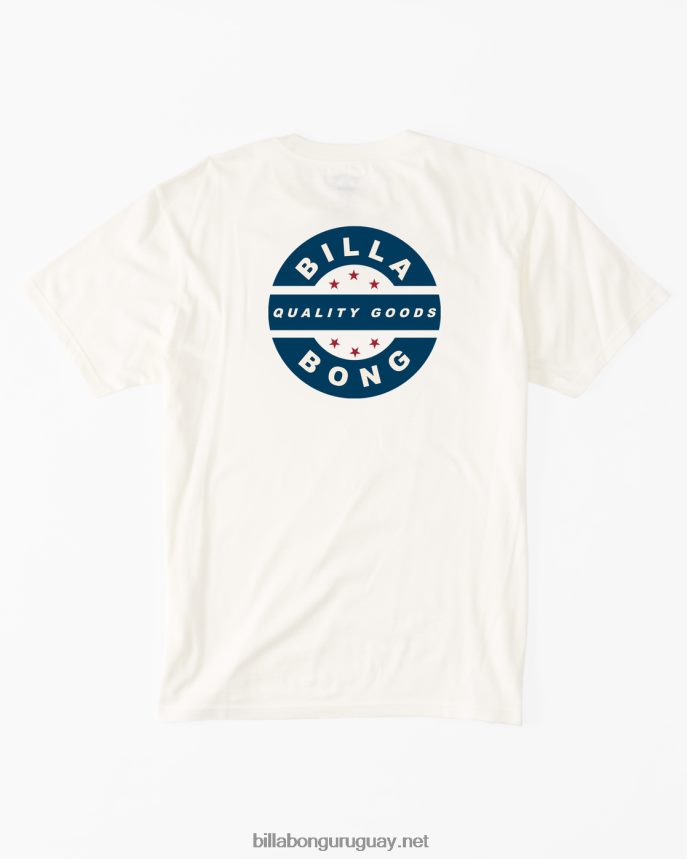camiseta rotor vintage hombres blanquecino DR6844357 Billabong