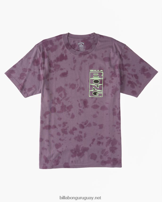 l.o.t.r. camiseta hombres neblina púrpura DR6844633 Billabong