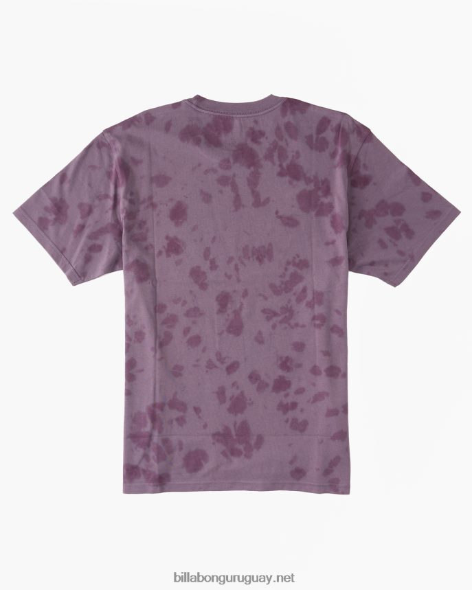 l.o.t.r. camiseta hombres neblina púrpura DR6844633 Billabong
