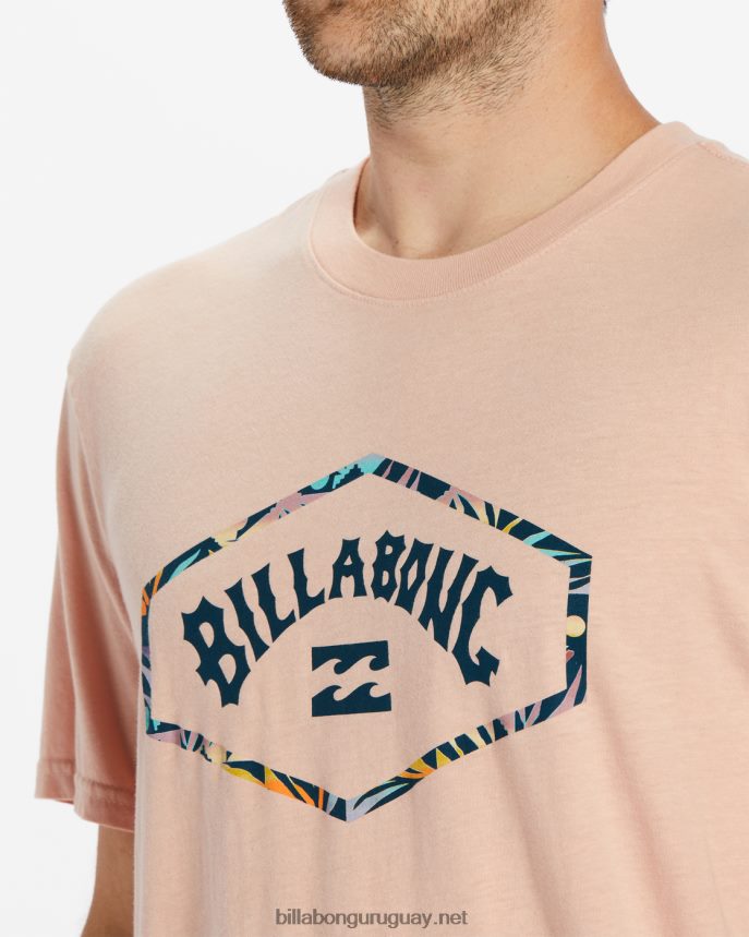 playera de manga corta con arco de salida hombres Rosa empolvado DR6844579 Billabong